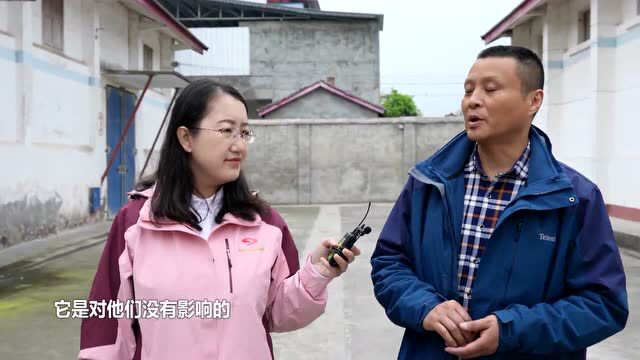 《问您所“?”》科普行 | 绵阳安州:什么是“粮食银行”?