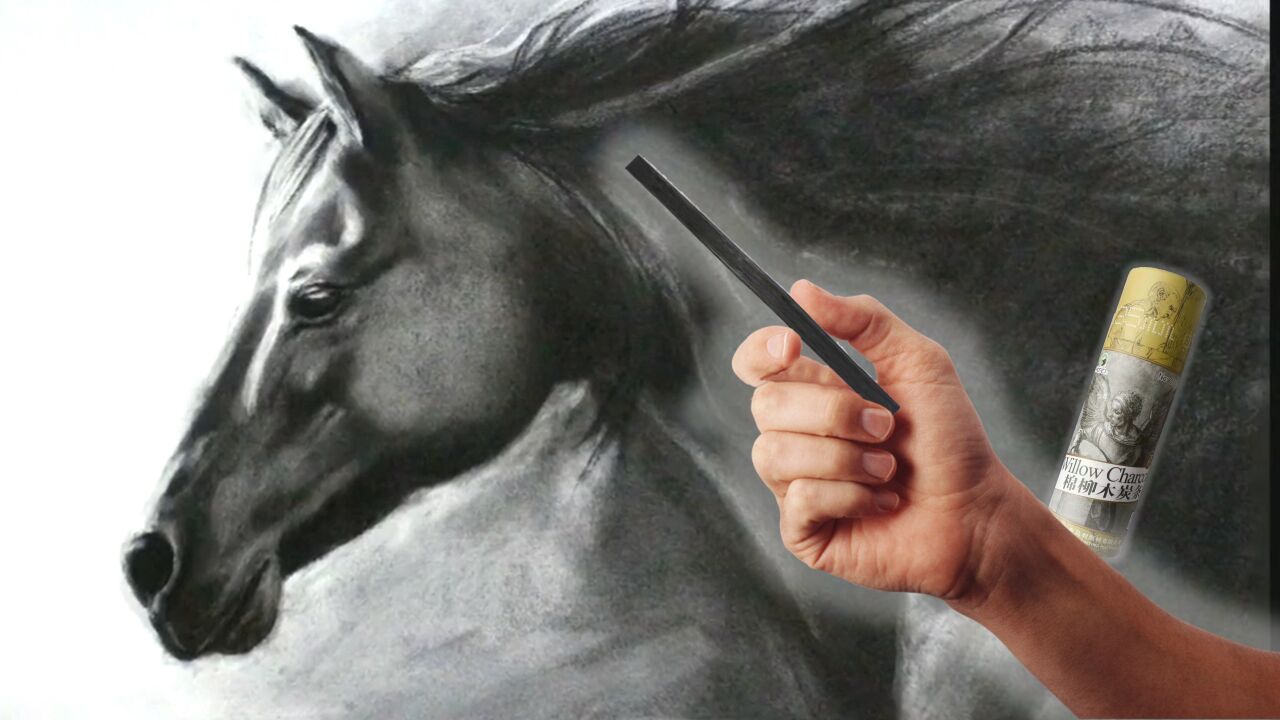 木炭条动物素描-马