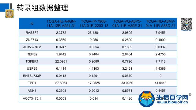 【生信自学网】课程试学铜死亡文章套路视频(lncRNA预后模型/免疫治疗/药物敏感性)