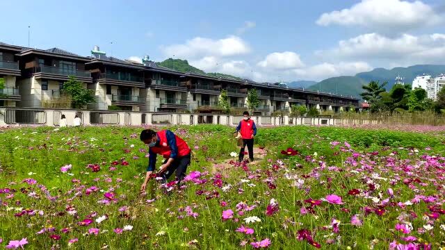 快来加入我们!芒市这样守护地球!