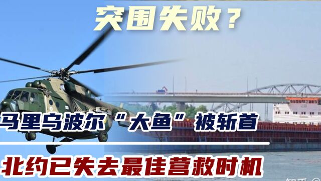 突围失败? 马里乌波尔“大鱼”被斩首 北约已失去最佳营救时机 