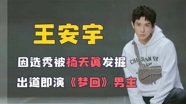 王安宇因选秀被杨天真发掘,出道即演男主,却陷入整容风波