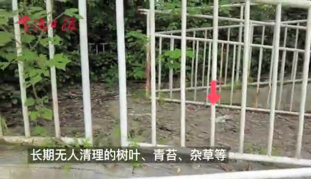 【不文明现象曝光台】常德市城区穿紫河彩虹桥下“藏”不文明