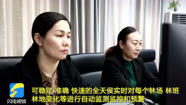 济宁:构建“四位一体”森林防护管控网 筑牢森林防火安全屏障