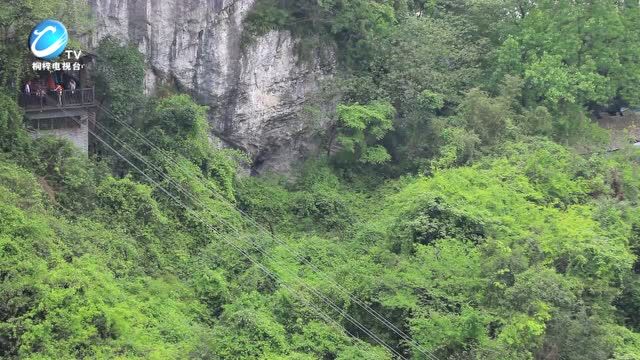 醉游桐梓丨抓鸭、登高、露营!这个假期总得来一趟这里