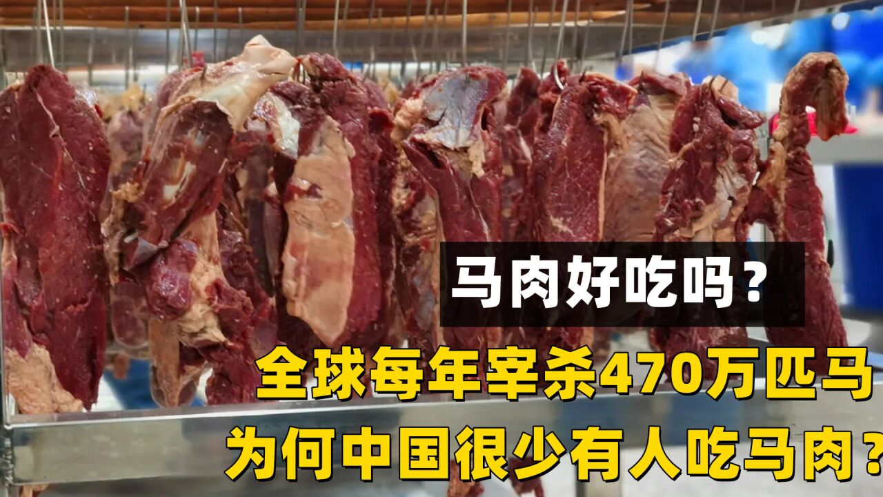 全球每年宰杀470万匹马,为何中国很少有人吃马肉?