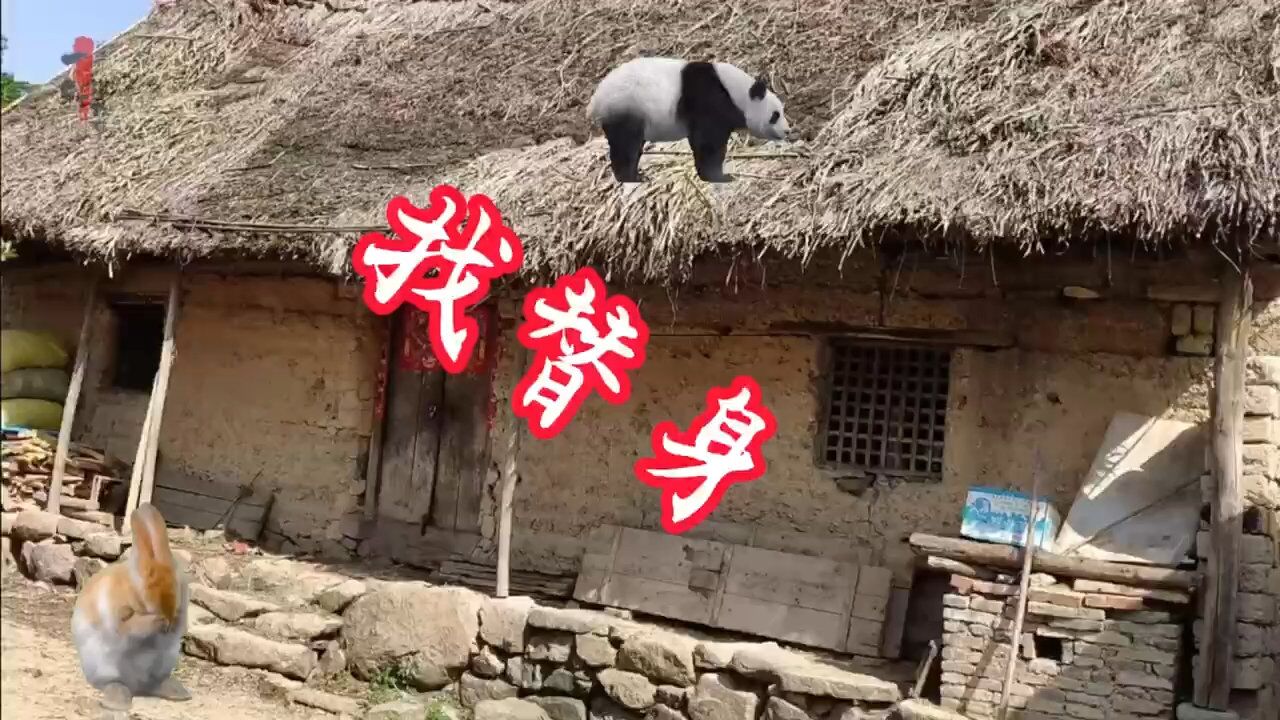 民间奇闻异事—找替身