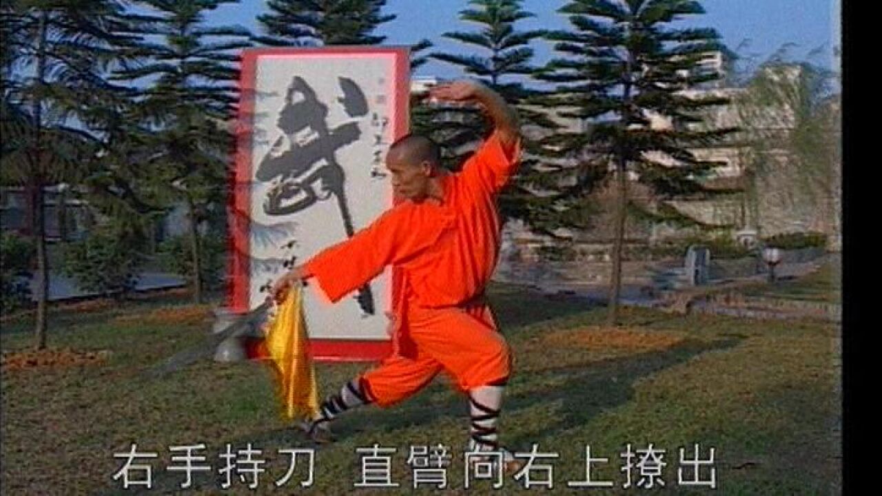 少林追风赶月刀武术刀法教学第2课-御武堂武术用品_高清1080P在线观看平台_腾讯视频