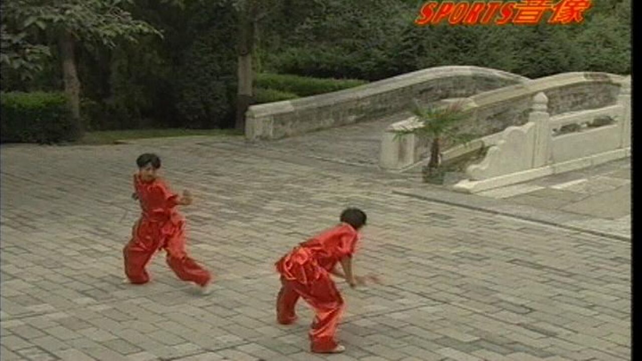 少林对练第5课单刀进枪武术教学-御武堂武术用品_高清1080P在线观看平台_腾讯视频
