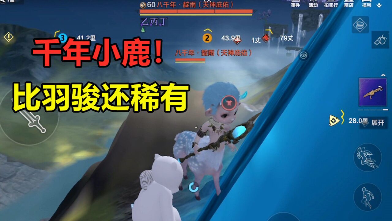 妄想山海:比羽骏还稀有的千年!八千年小鹿,以及新的禺强活动