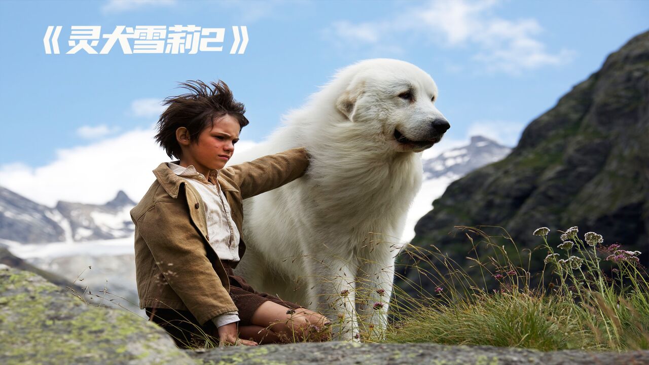 狗狗电影_大白狗帮助人类，穿越深林火海救人！_高清1080P在线观看平台_腾讯视频
