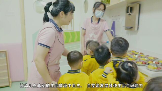 惠州市半岛婴幼儿托育学校