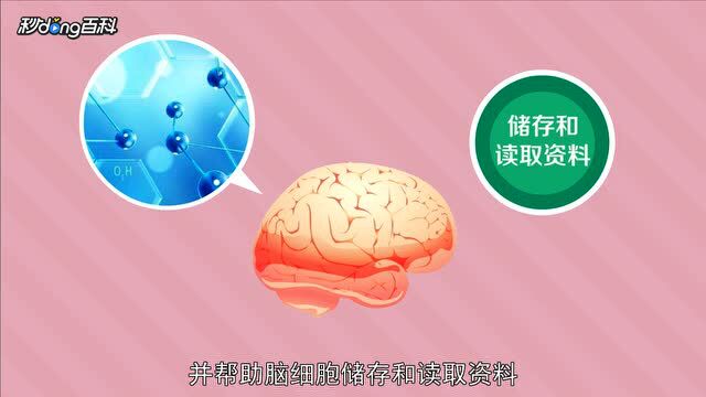 您可能还没听过的健康食品素材——被称为“记忆因子”的磷脂酰丝氨酸