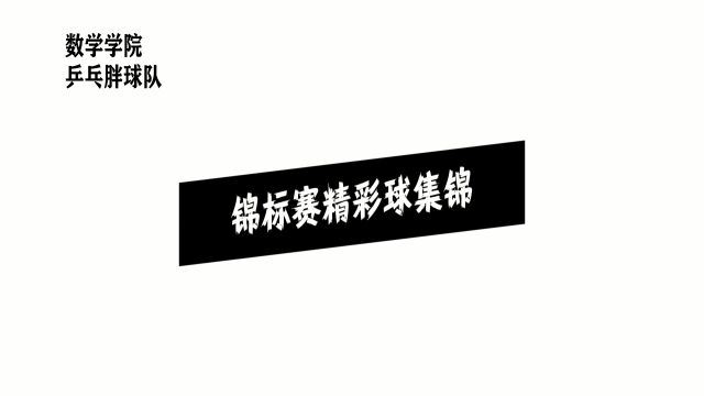 乒乓球锦标赛