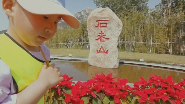 春天的童话卓越幼儿园C4班2022年春游记