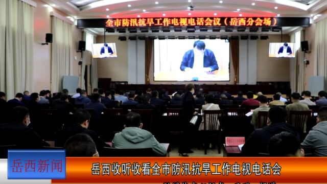 岳西收听收看全市防汛抗旱工作电视电话会