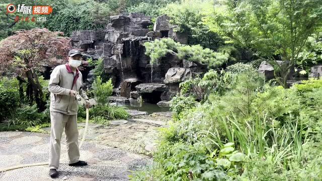 衣食住行跟我逛|50多种山野草首次展出,世外“草”园吸引市民打卡自然野趣