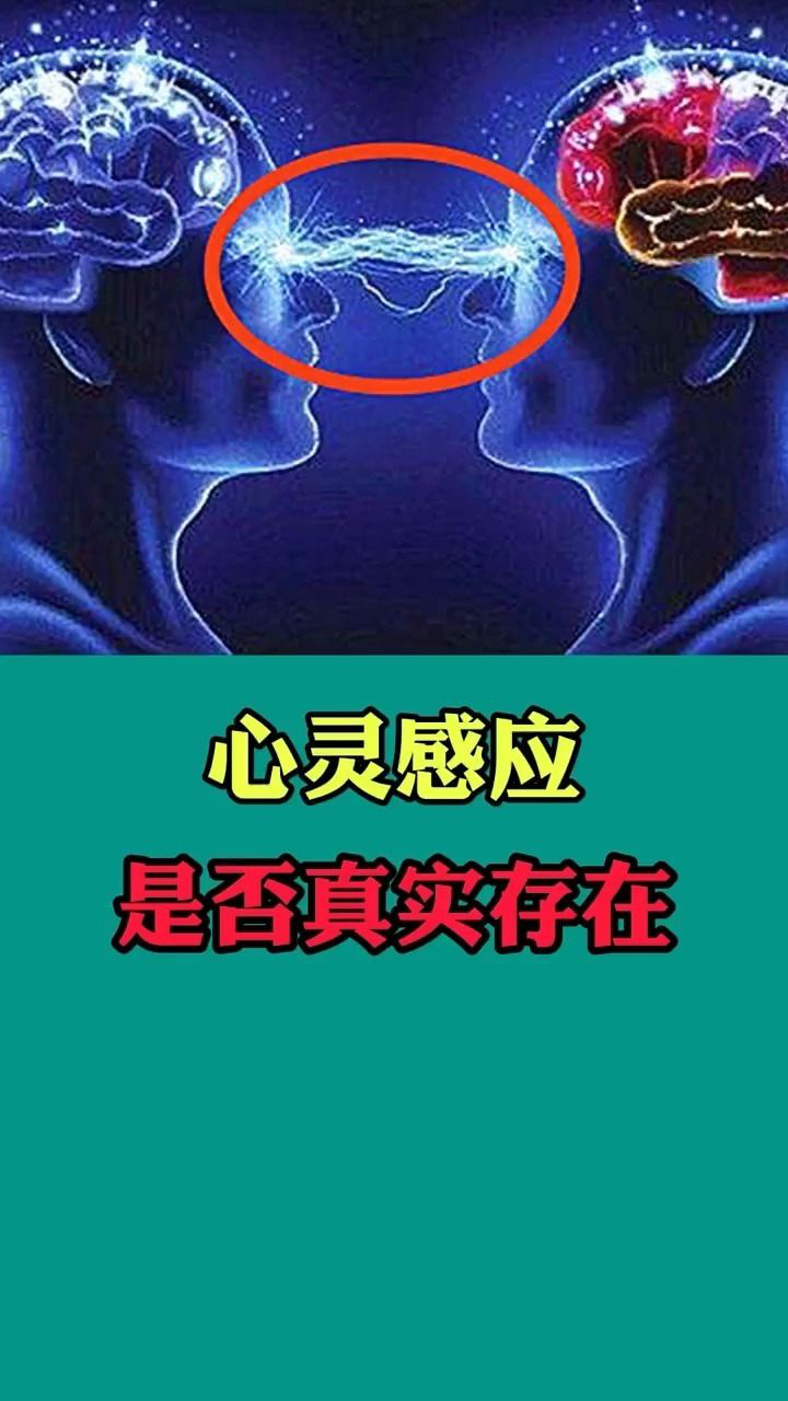 看世界 