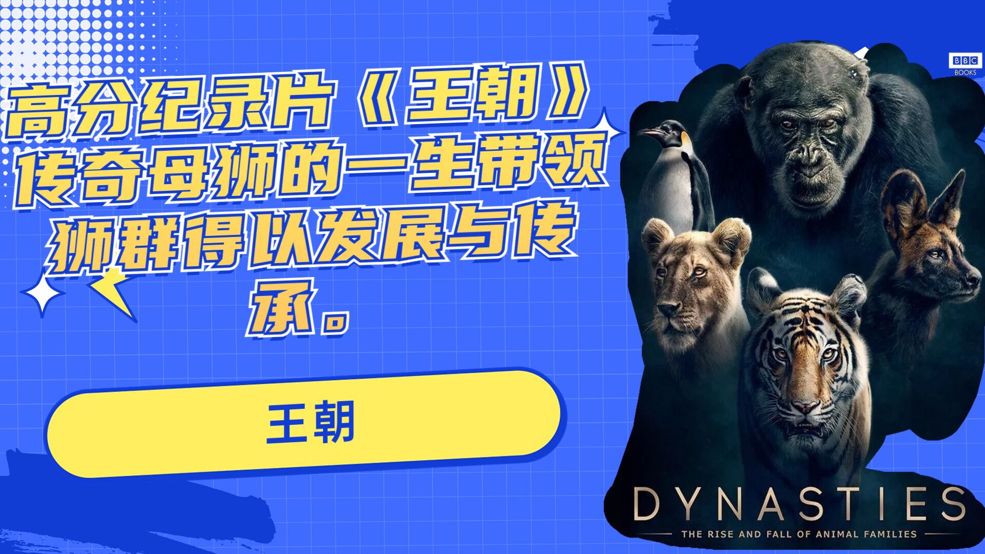 高分纪录片王朝传奇母狮的一生带领狮群得以发展与传承