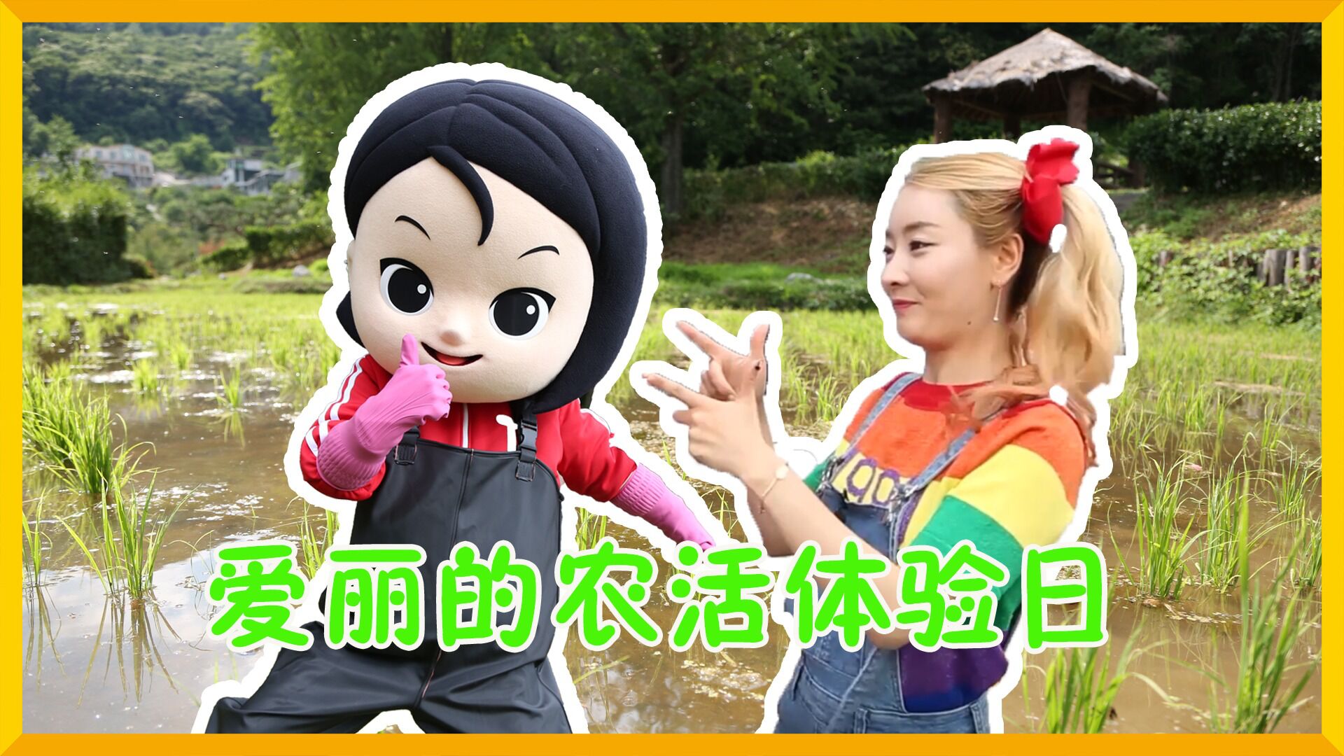 爱丽去哪儿爱丽科普秀美味的米饭从何而来爱丽的插秧体验