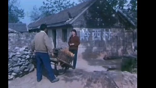 老电影片段:农村的爱情故事