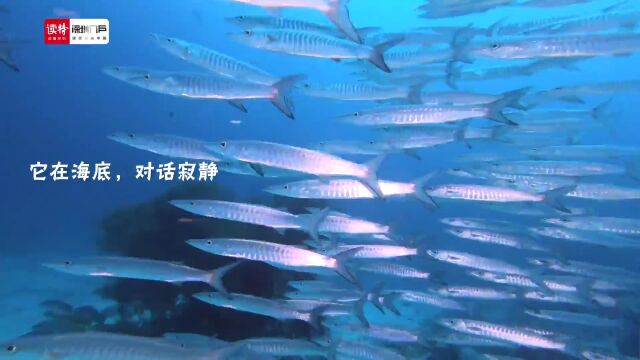 向海而兴!加快《深圳市海洋经济发展“十四五”规划》发布