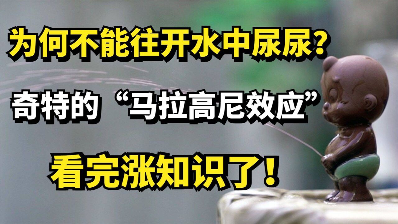 為何不能往開水中尿尿?奇特的