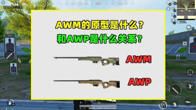 AWM的原型是什么?它和AWP是什么关系?原来差距这么大