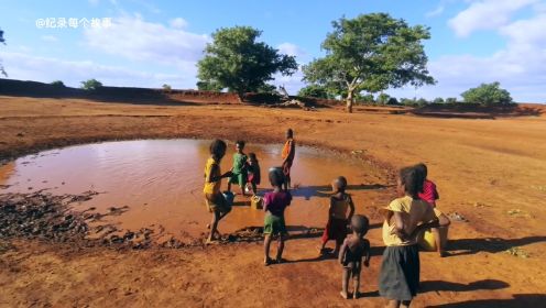 非洲严重缺水的地方一年有七个月以上干旱，人们用猴面包树蓄水
