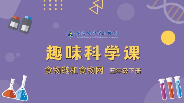 趣味科学课——食物链与食物网