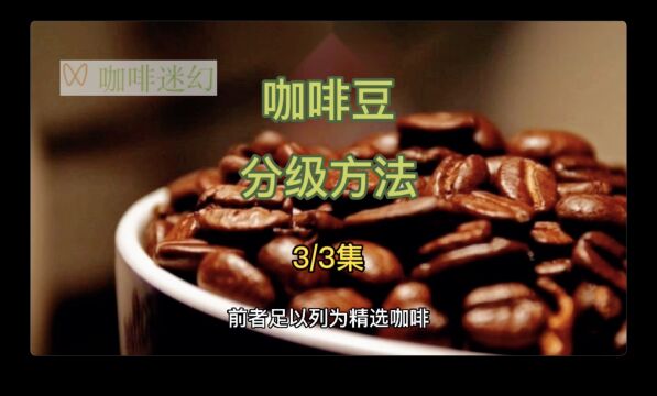 咖啡豆的分级方法3/3集