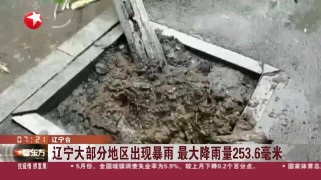 辽宁大部分地区出现暴雨 最大降雨量253.6毫米