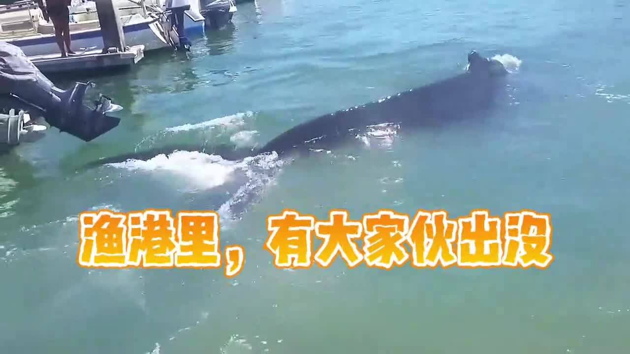 海洋百事