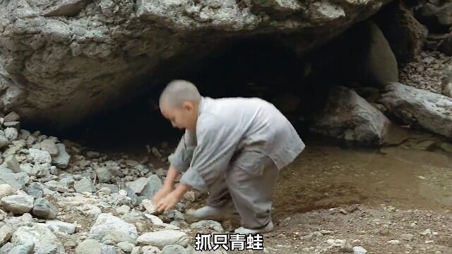 春去经历,夏去犯错,秋去后悔,冬去修行《春夏秋冬又一春》