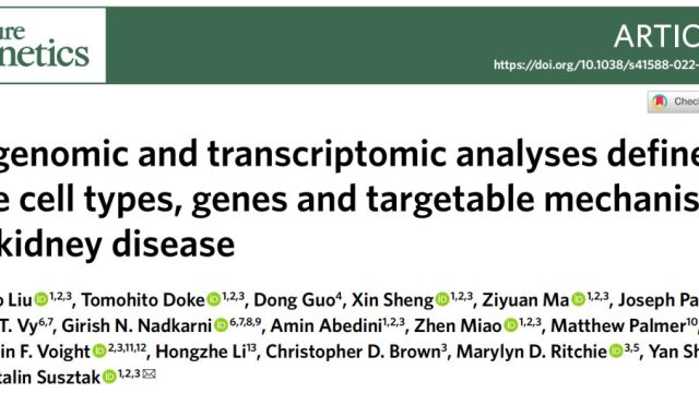 肾病风险基因解析【刘洪波博主】