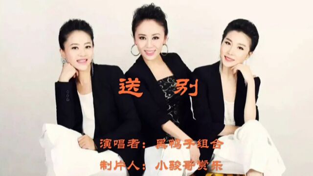 请欣赏:黑鸭子演唱的经典歌曲《送别》