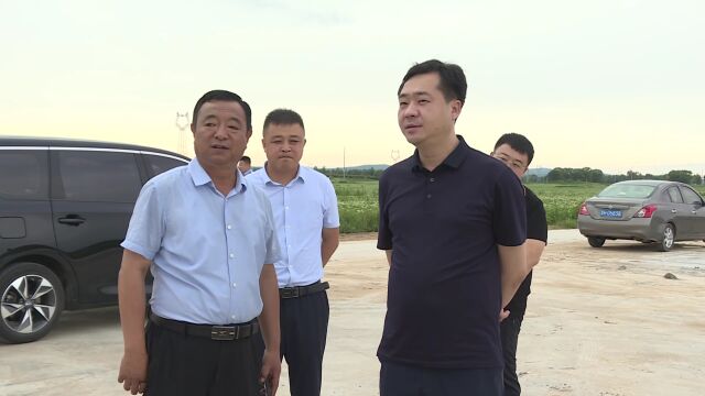 新闻|辛磊深入实地就全省加工型马铃薯种植基地建设现场推进会筹备工作进行指导