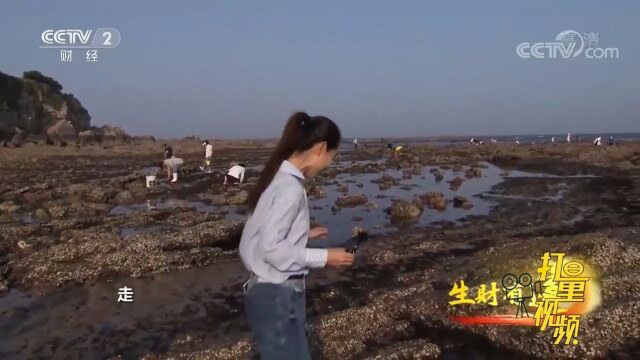 金石滩国家地质公园风光秀美、奇石林立,旅游资源丰富