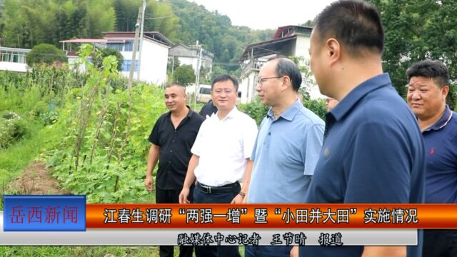 江春生调研“两强一增”暨“小田并大田”实施情况