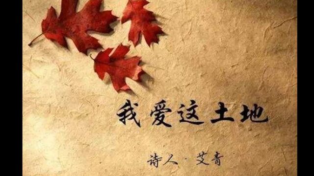 高鸽老师讲语文 九上 《我爱这土地》