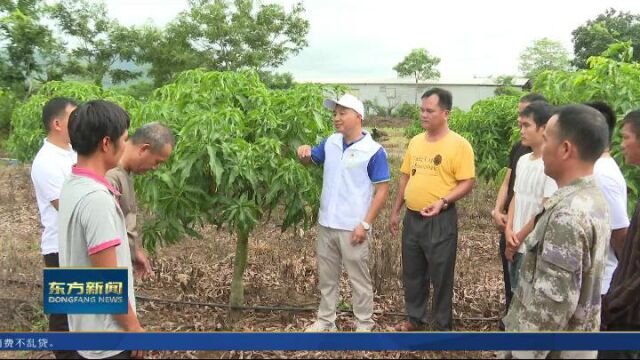 卢胜到江边大田调研指导迎接2022年乡村振兴大比拼市县交叉检查准备工作