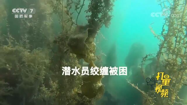 遭遇绞缠!潜水员失去安全绳保护该如何脱险?