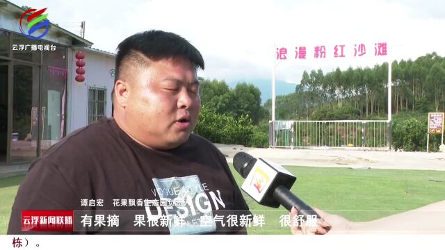 云安富林:“串珠成链” 打造美丽乡村精品线路