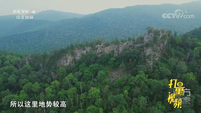 走进野生动植物的家园,黑龙江朗乡国家级自然保护区