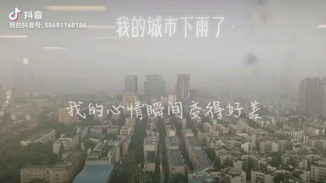 我的城市下雨了