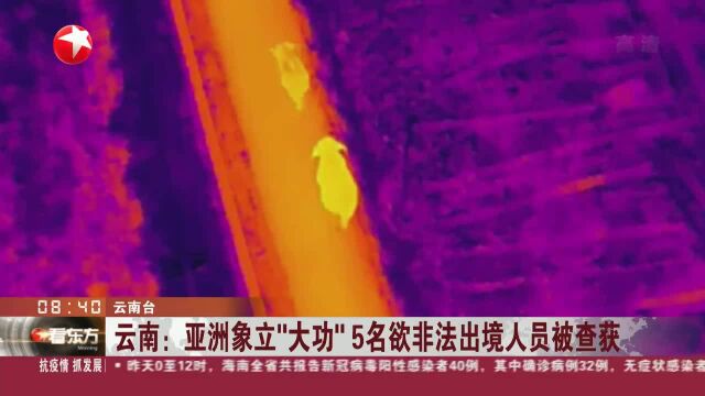 云南:亚洲象立“大功”5名欲非法出境人员被查获