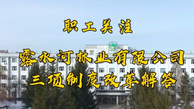 职工关注——露水河林业有限公司“三项制度”改革