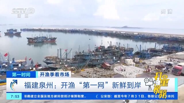 泉州:开渔“第一网”新鲜到岸,市民纷纷采购新鲜海货