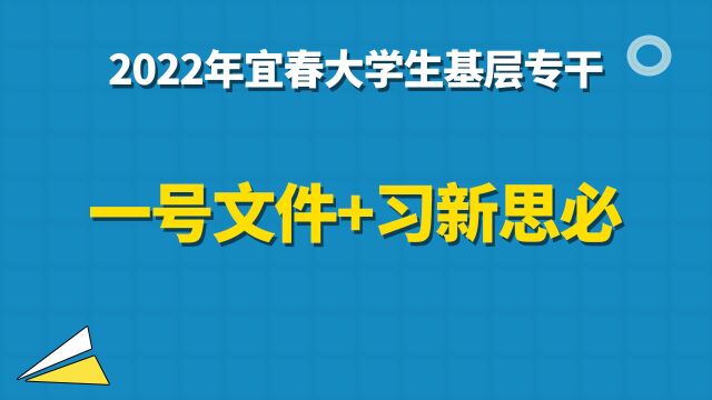 【华公】2022年宜春大学生基层专干——一号文件+习新思必考总结(下)