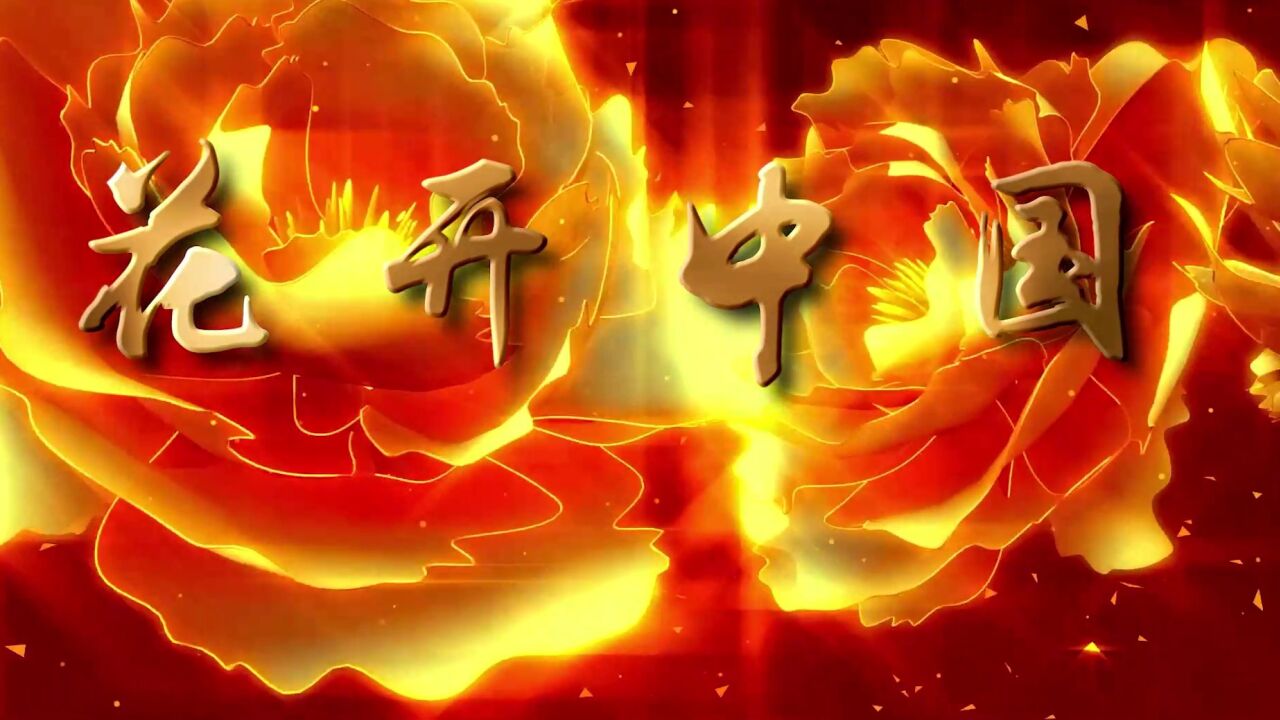 led高清歌曲花开中国舞台背景视频 花开中国 花开中国王丽达 花开中国